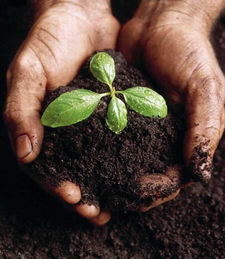 Topsoil or Compost Mixes Soil Bark
