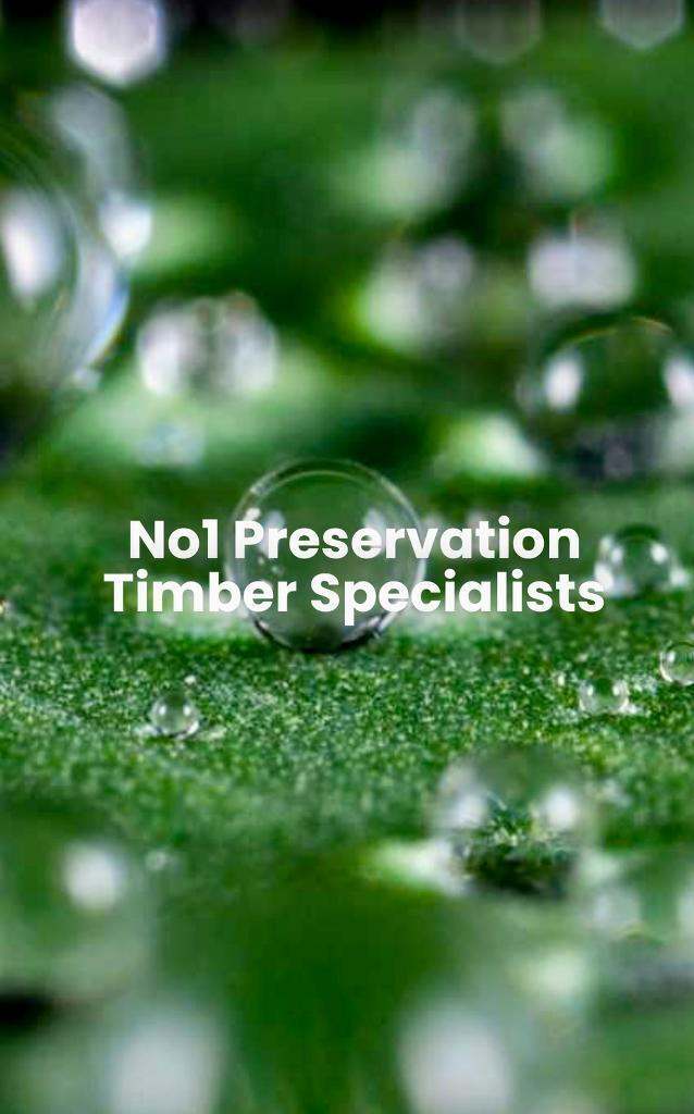 No1 Preservation:               Woodworm, Rising Damp, Wet & Dry Rot. 