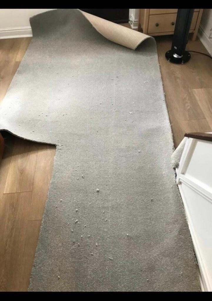 Extra Thick Luxury Carpet Off Cut Piece