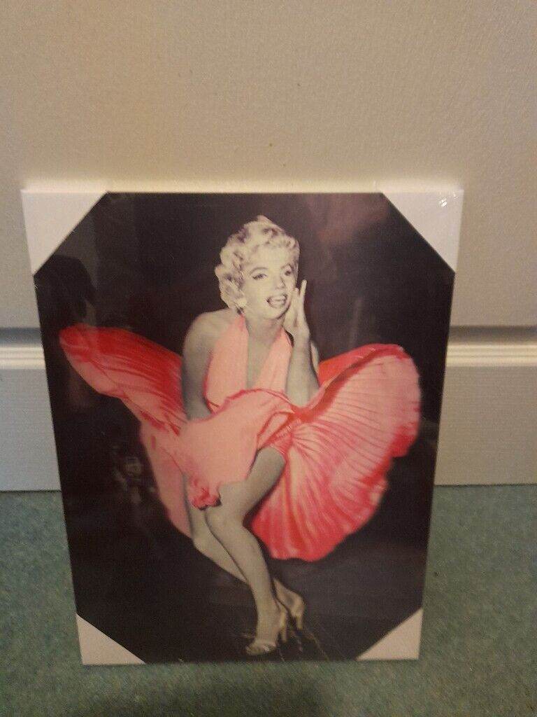Marilyn Munroe Hanging Pictue