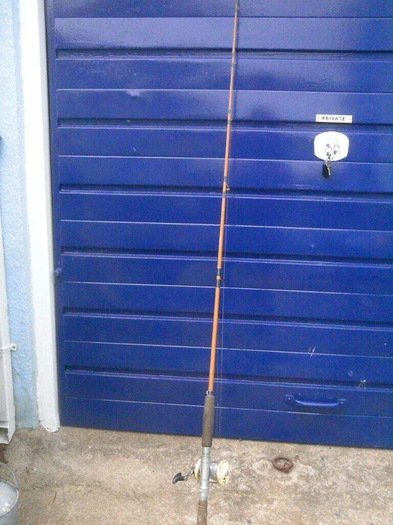 Intrepid boat rod and Mitchel multiplier reel 