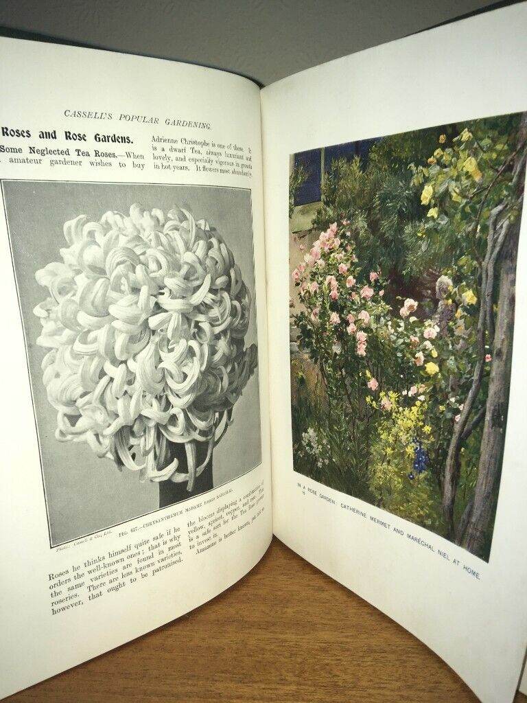 Cassell's  Popular Gardening Volume 3