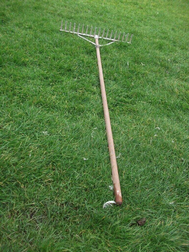 HAY RAKE  / LEAF COLLECTION ? 