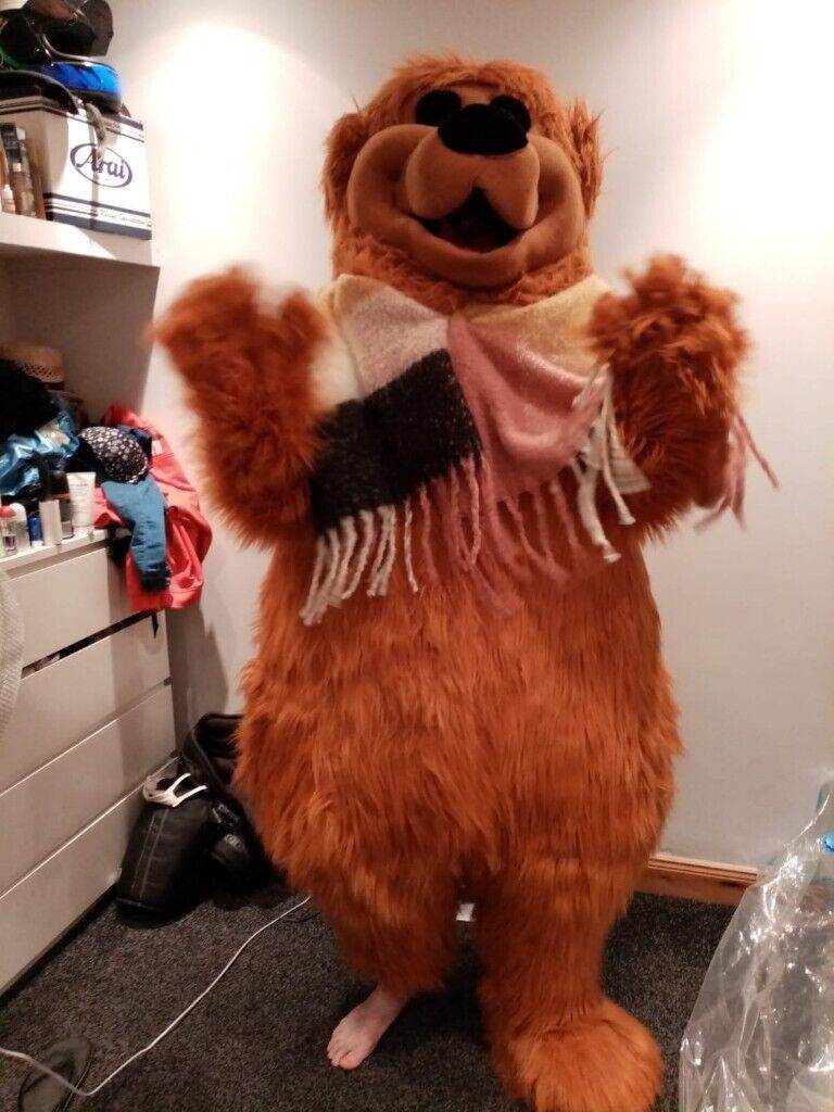 Big bear costume