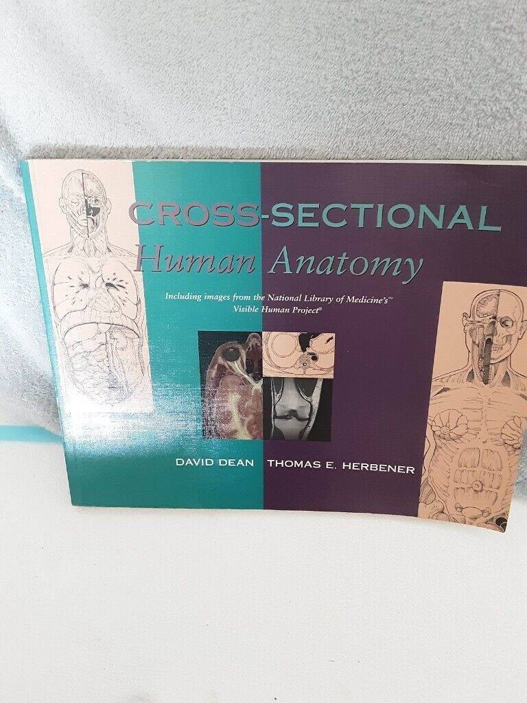 Medical Anatomy Radiology