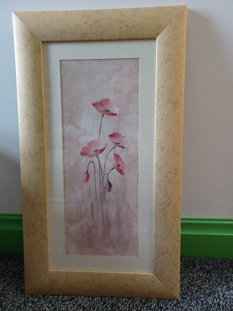 Poppy Picture By Artist D Brown