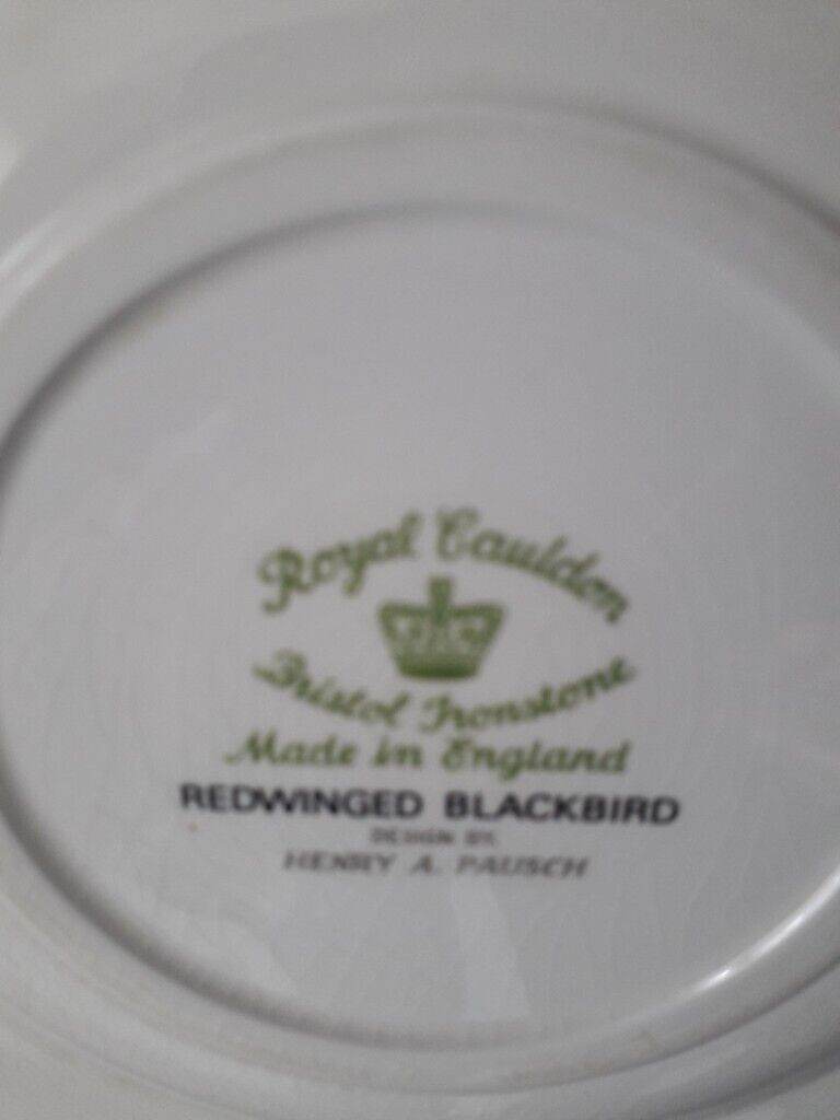 Dinner plates