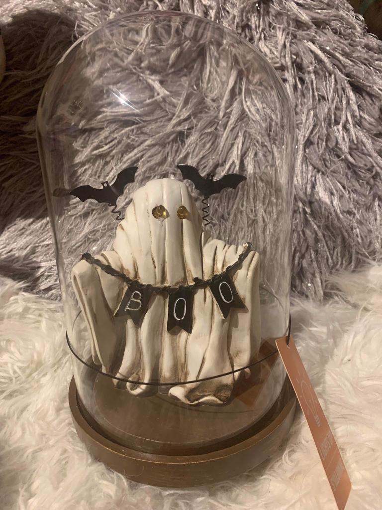 Tkmaxx Halloween rare ghost dome light up