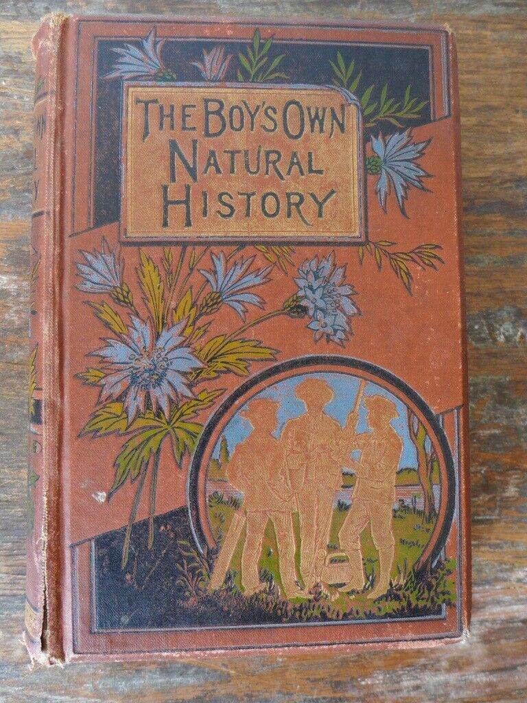 Collectable antique vintage hardback: THE BOY’S OWN NATURAL HISTORY. By the Rev J G Wood.