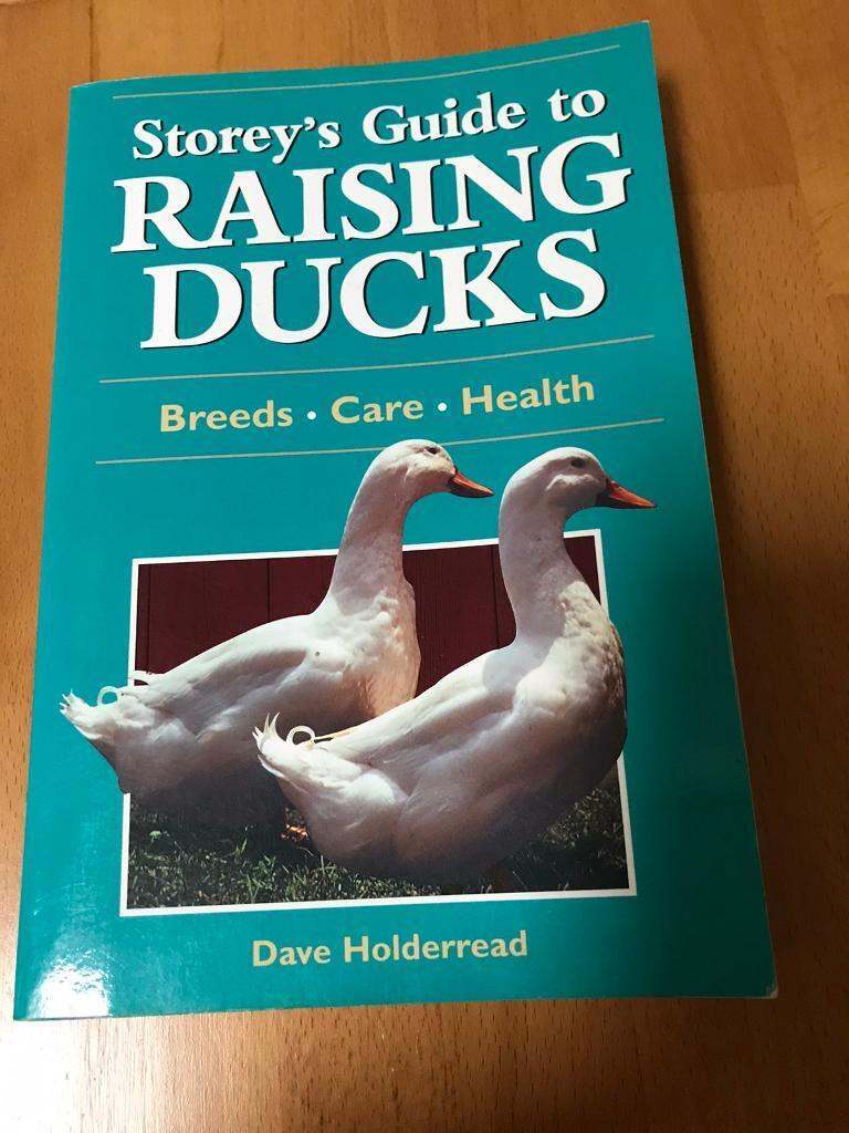 Raising Ducks Book 
