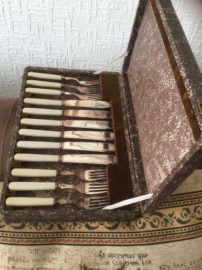 Vintage Fish Knife and Fork Set in Presentation Case. Brilliant Condition £10 Cash on Collection