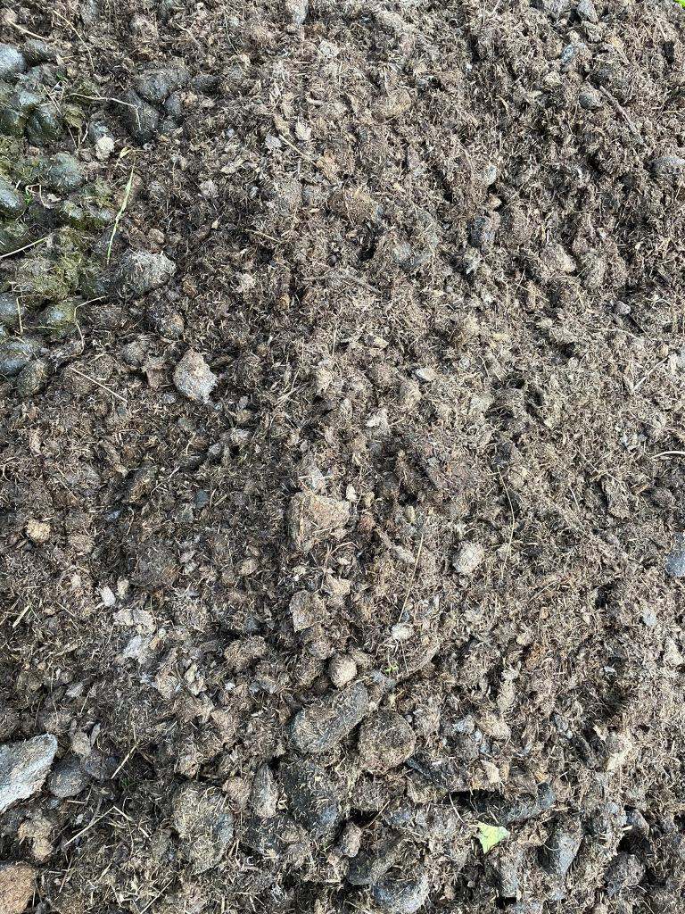 Well Rotted Horse Manure