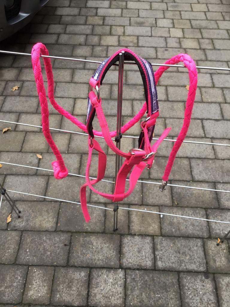 PINK PONY HALTER & LEAD ROPE