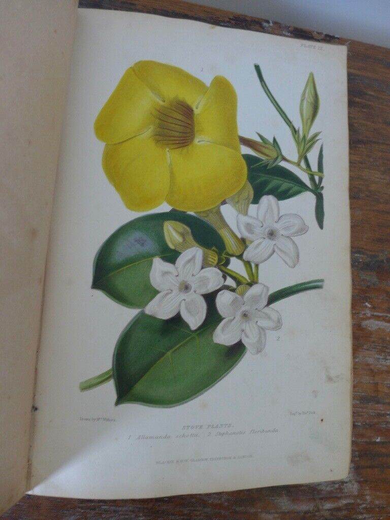 RARE Collectable Antique Gardening Book: THE GARDENER’S ASSISTANT: PRACTICAL AND SCIENTIFIC.