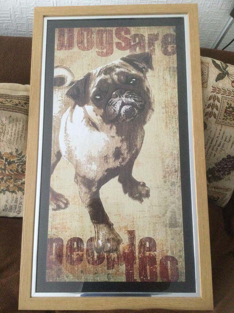 Gorgeous Large Framed and Glazed Picture of Pug Dog 
