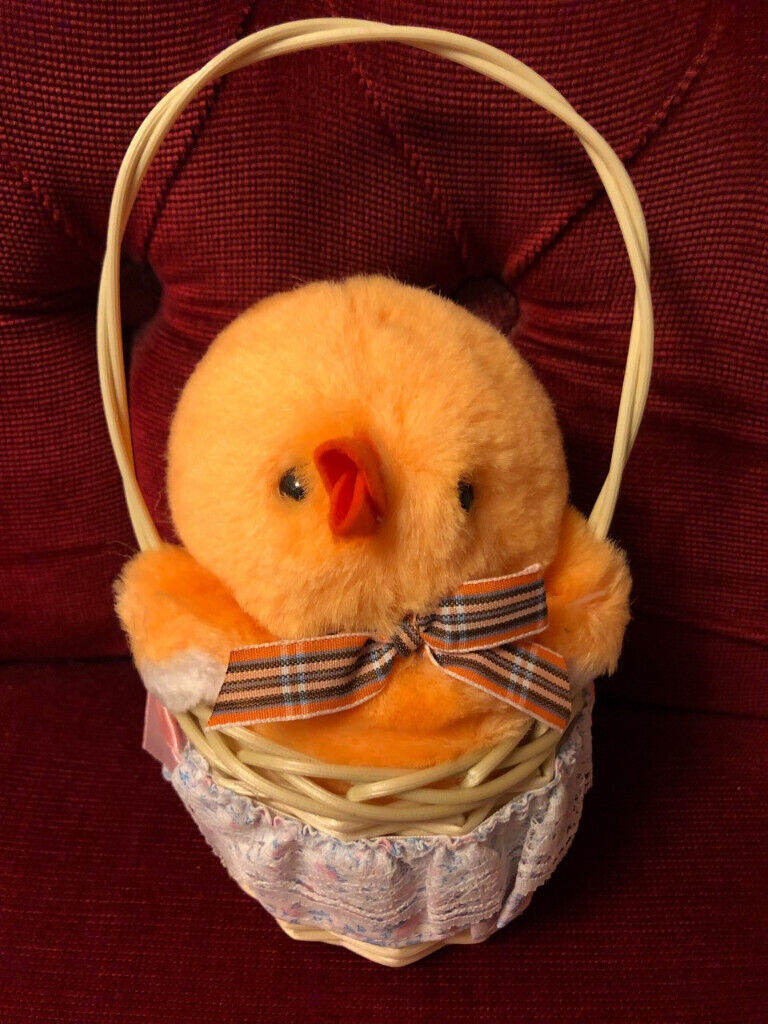 New cute chick in basket.  
