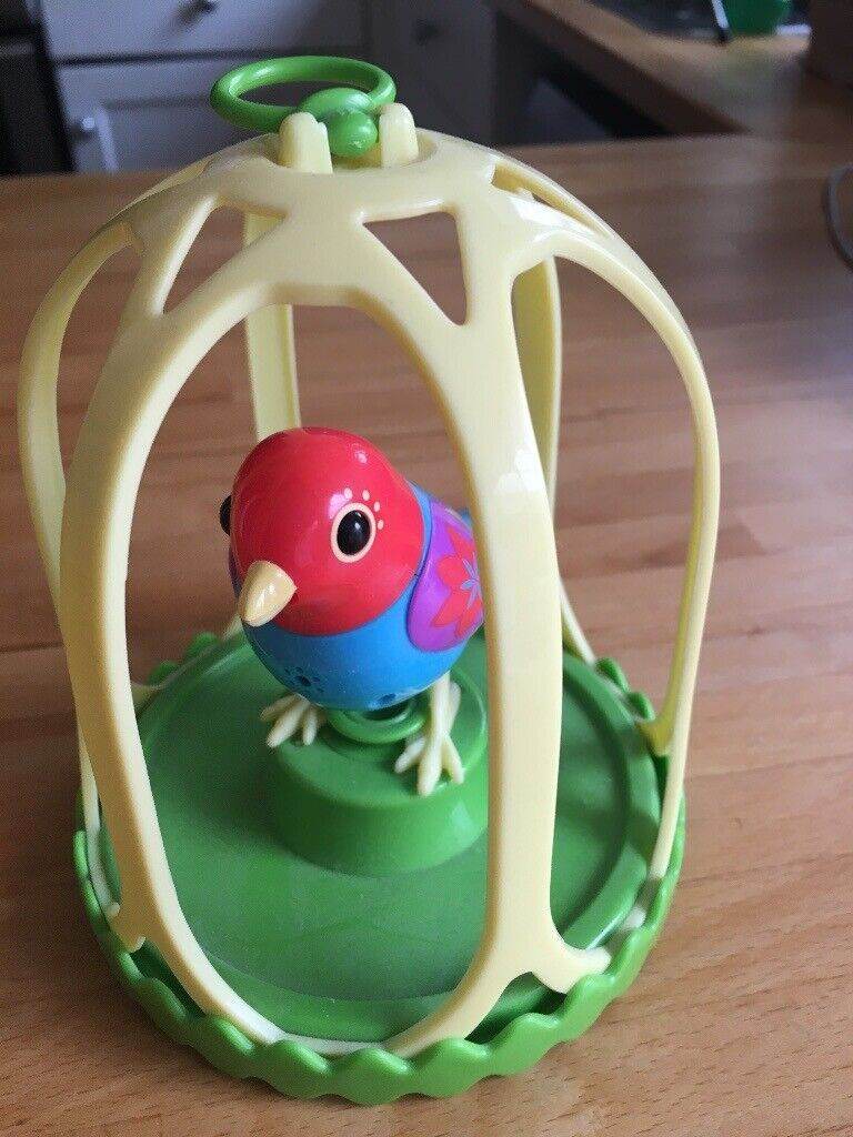 Bird and cage 