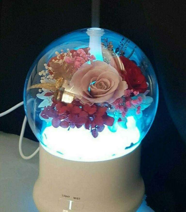 Brand New LED Changing Colours Lamp Real dried Roses Aroma Oil Mist Diffuser Humidifier 