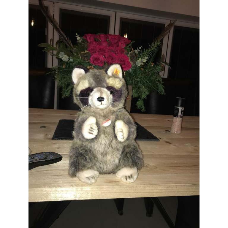12 “ Steiff raccoon