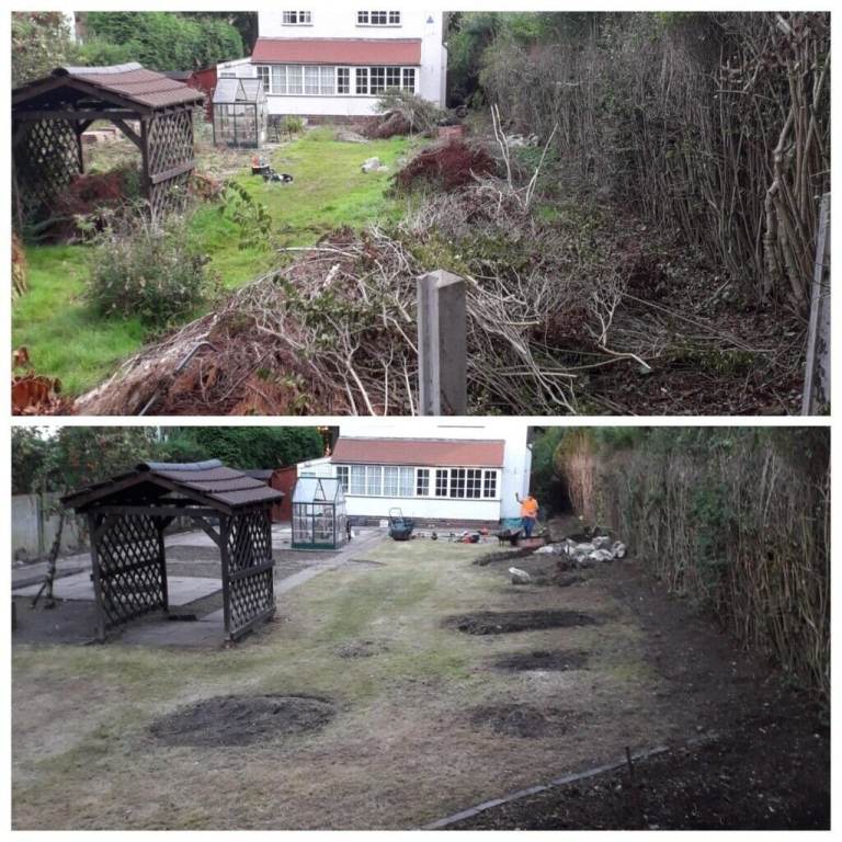 image for Overgrowth gardening and clearance services