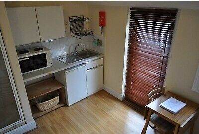 'NEAR CLAPHAM COMMOM Studio with garden access at Cathles Road SW12