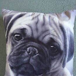 Pug Cushion, Brand New
