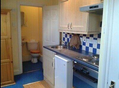 'DOUBLE S/C STUDIO at Chiswick.  Close to Kew Gardens & Gunnersbury Park.  