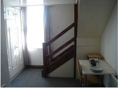 TRENDY SELF CONTAINED SPLIT LEVEL STUDIO- STOCKWELL