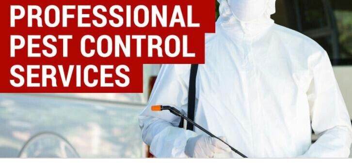 Mice and Rodent Exterminator mouse proofing 24/7 pest control call   
