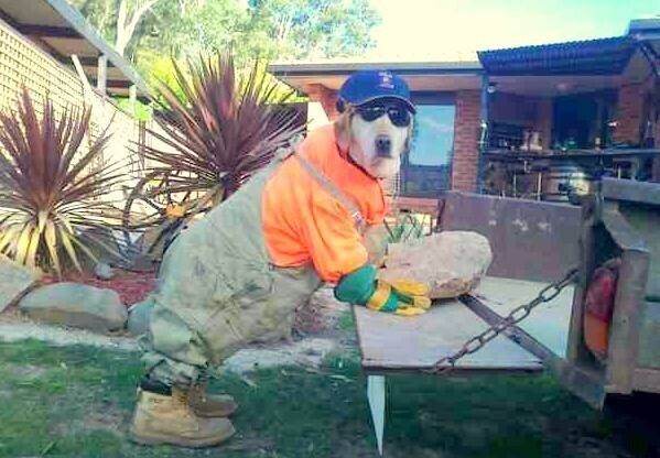 Premier Builders Covering Belfast N Down & Ards Peninsula.