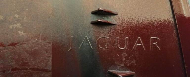 Jaguar XE wing mirror cover 