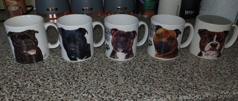 Staffordshire bull terrier mugs