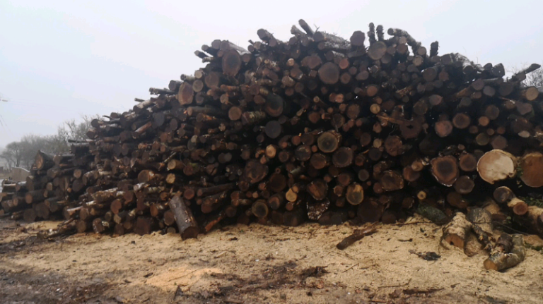 🪵Hardwood logs sale🪵