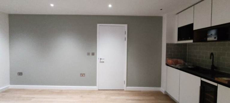 PAINTER in London! I paint whatever you want. Even a unicorn with rainbows and glitter!