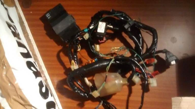 HONDA CBR600 FX FY CBR 99 - 2000 F4 WIRING LOOM