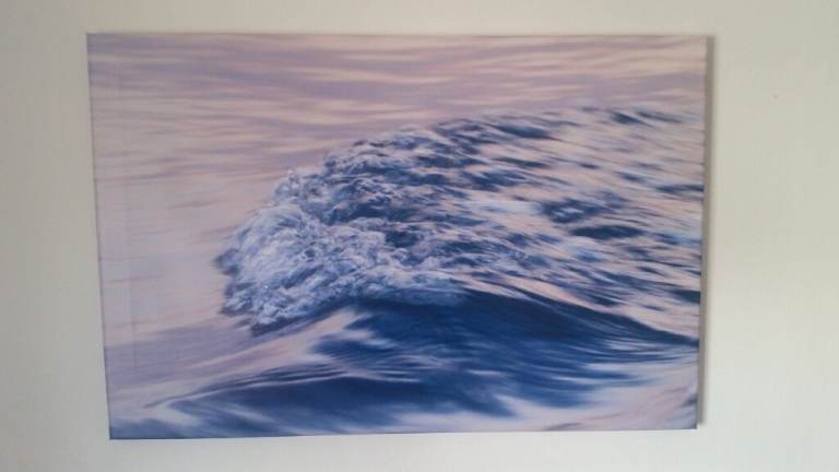 image for Unique Photographic Artwork – kookaburra, swan, rose, wave