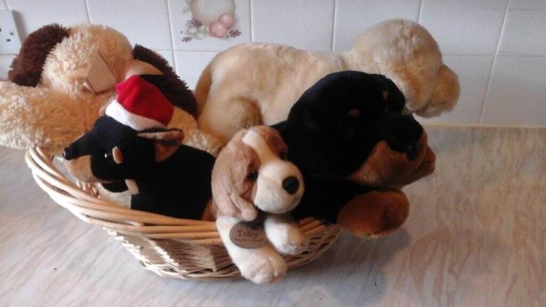 Basket of Toy Puppies