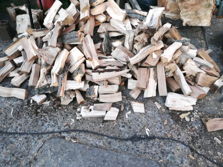 Logs logs logs logs logs logs logs logs logs logs logs 