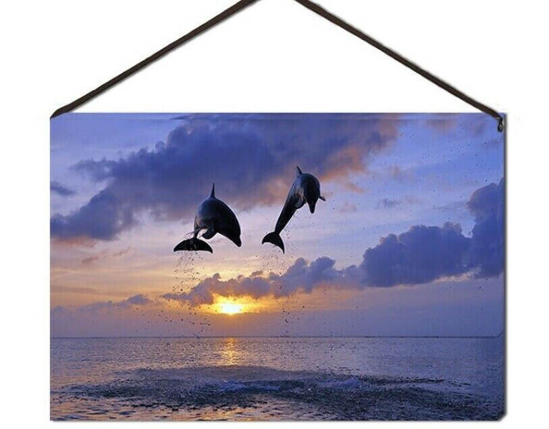 LED CANVAS PRINT DOLPHINS JUMPING OUT OF SEA WATER AT SUNSET or DAWN 15cm x 22cm