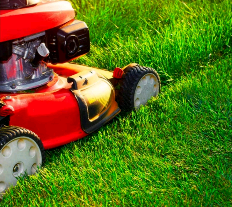 Grass cutting. Lawns. Claudy