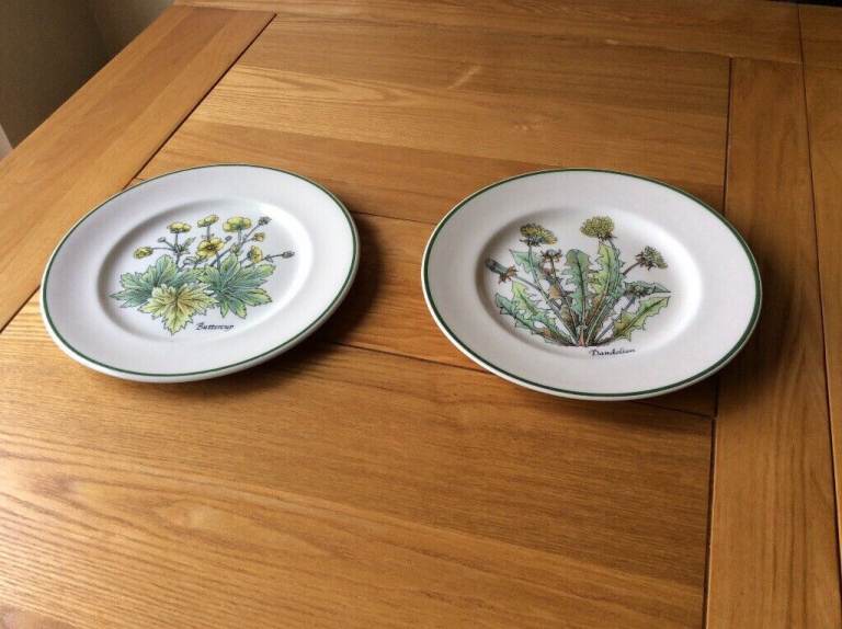 Tiffany and Co Vintage 2 x Collectable Wild Flowers Plates £5.00
