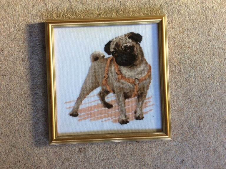 Framed, completed cross-stitch picture of pug
