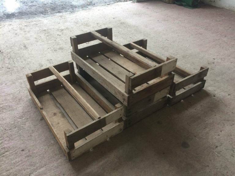 Wooden potato seed boxes.