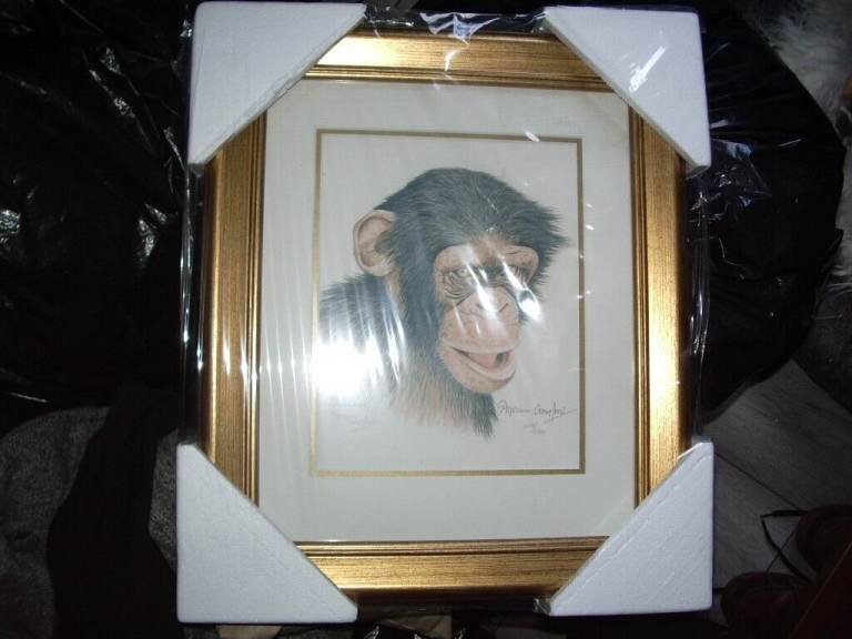 stephen gayford prints