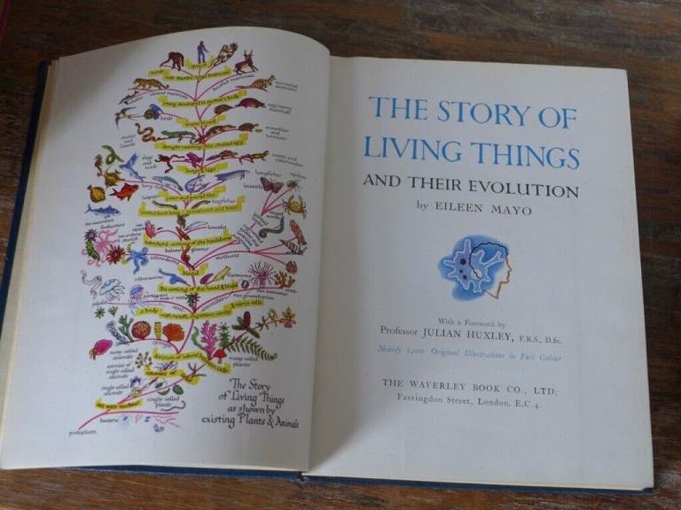 THE STORY OF LIVING THINGS AND THEIR EVOLUTION and NATURE’S TEACHINGS. The two for £25.