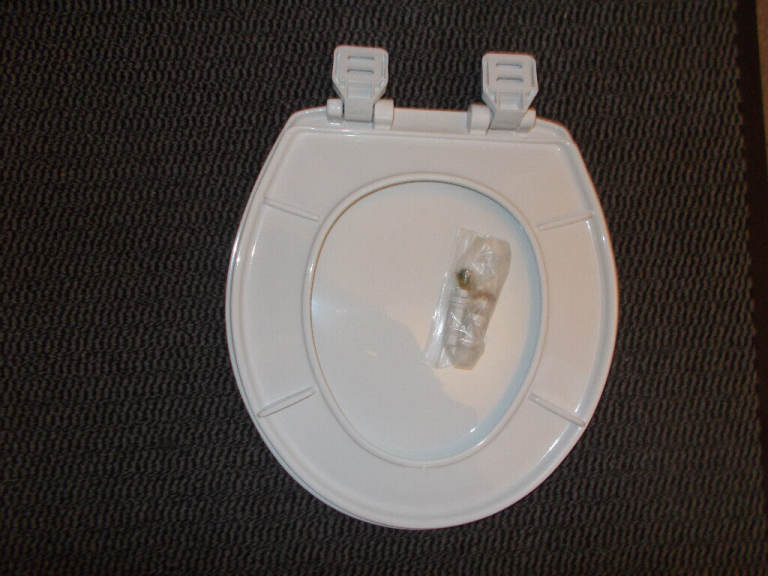 TOILET SEAT WHITE  /BRAND  NEW  LARGER SIZE  / WILL POST