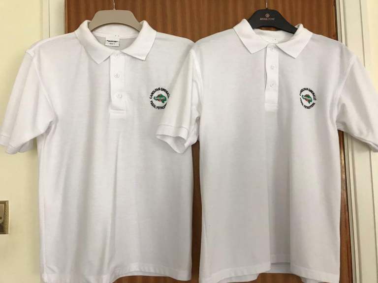 School Uniform - 2 Ysgol Gymraeg Ystalyfera Year 12/13 Polo Shirts