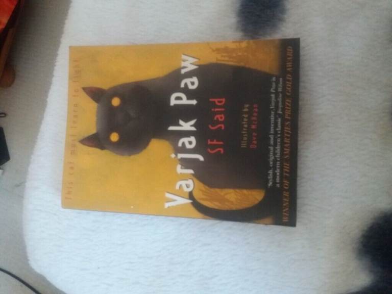 Varjak Paw Book 