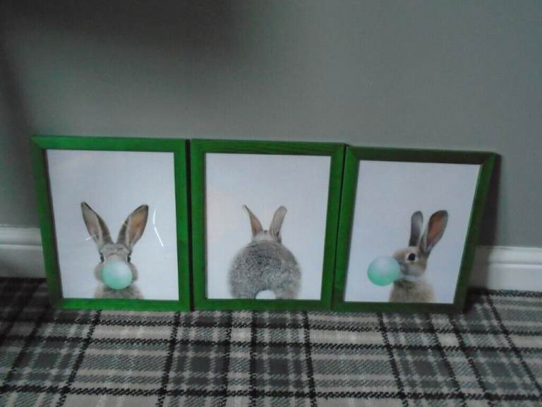 Framed Rabbits Blowing Gum Pictures