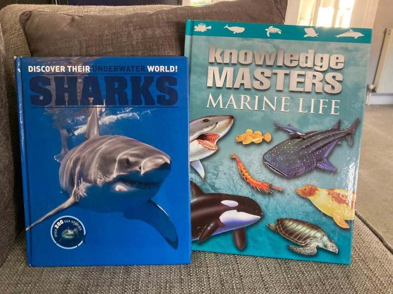 Hardback Books: Sharks & Knowledge Masters Marine Life